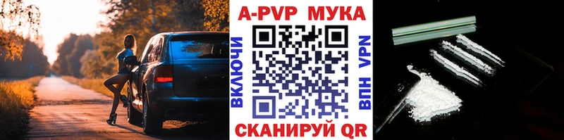 OMG tor Ивангород А ПВП СК КРИС