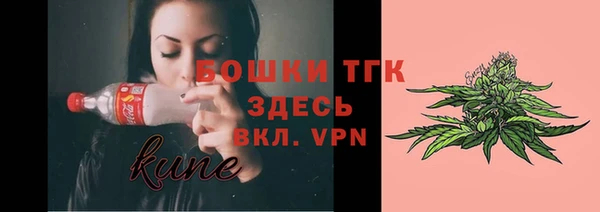 тгк Алексин