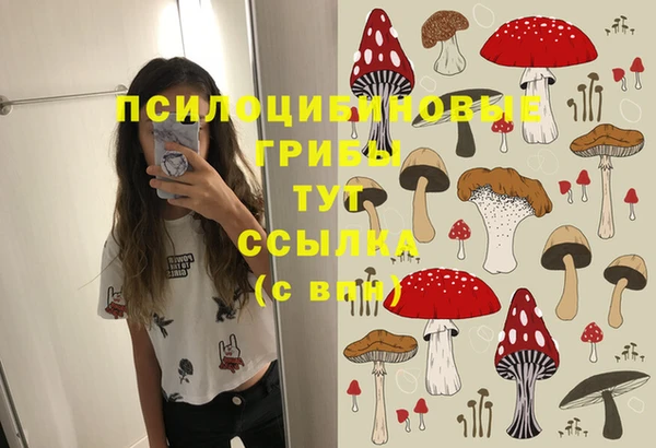 СК Абдулино