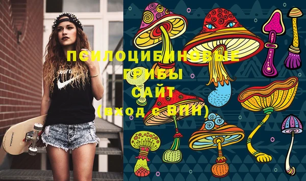 прущая мука Алзамай