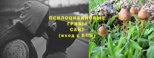 стафф Абаза