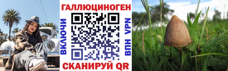 маркетплейс формула  Ивангород  Псилоцибиновые грибы MAGIC MUSHROOMS 
